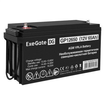 ExeGate GP12650 EX282981RUS