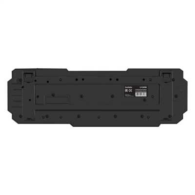 ExeGate Multimedia Professional Standard LY-505M EX296103RUS