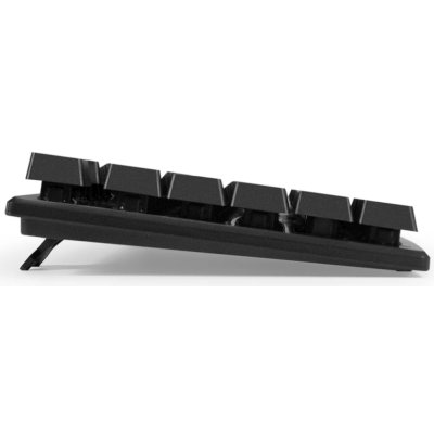 ExeGate Professional Standard Combo MK110 Black EX295302RUS