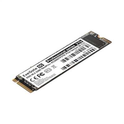 ExeGate NextPro+ KC2000TP2TB 2Tb EX295282RUS