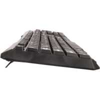 ExeGate Professional Standard LY-404 EX264084RUS