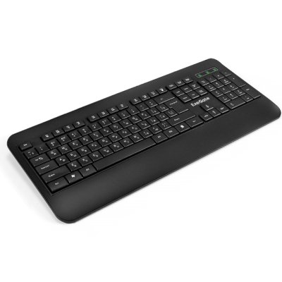 ExeGate Professional Standard LY-E5500M EX296922RUS
