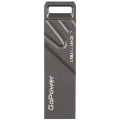 GoPower 256GB 00-00027356