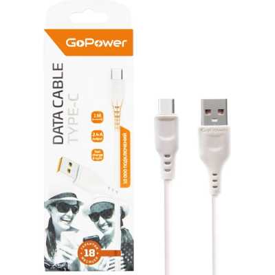 GoPower GP01T 00-00018565