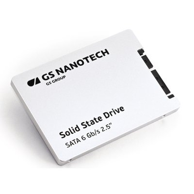 SSD диск GS Nanotech 256Gb GSSFA256R16STF