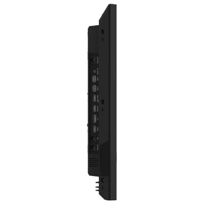 Hisense 43DM66D
