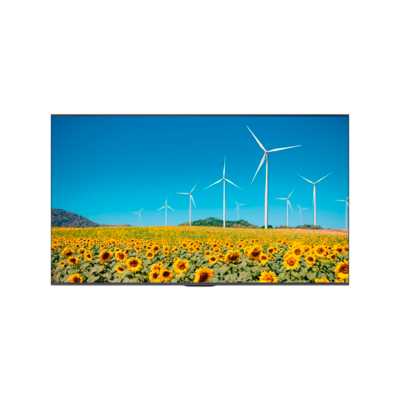 Hisense 55DP30FE