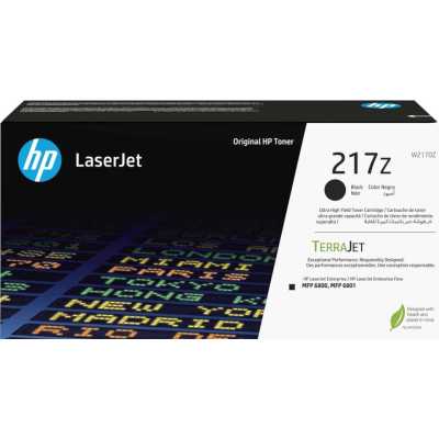 HP 217Z W2170Z