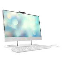 HP All-in-One 24-dp1013ur