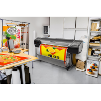 HP DesignJet Z5600 PostScript T0B51A