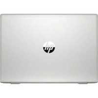 ноутбук HP ProBook 455 G7 1F3M7EA