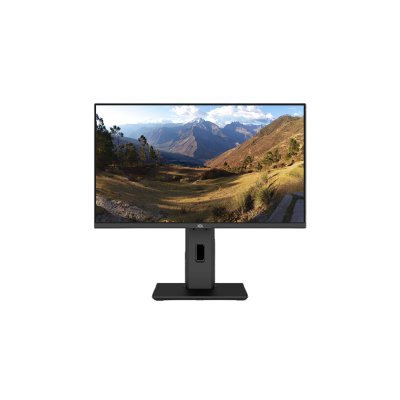 монитор ICL ViewRay 2413IFH