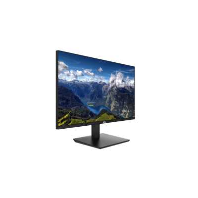 ICL ViewRay 2417IFH