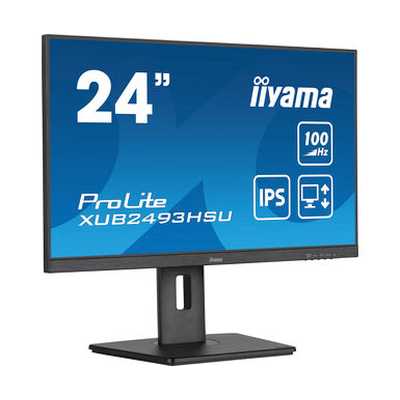монитор Iiyama ProLite XUB2493HSU-B6