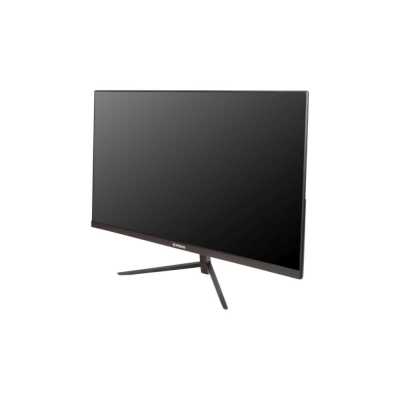 Irbis SmartView 24FIDL01