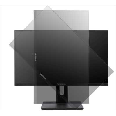 Irbis SmartView ISM24FIDR_U