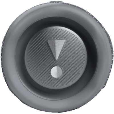 JBL Flip 6 Gray