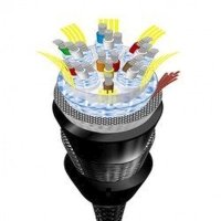 Avinity H-107462