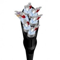 Avinity H-107469