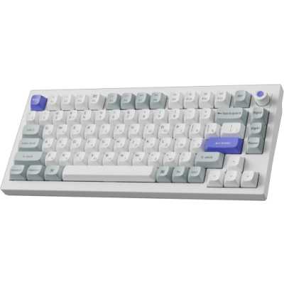 Keychron Q1 HE Q1H-P1P-RU