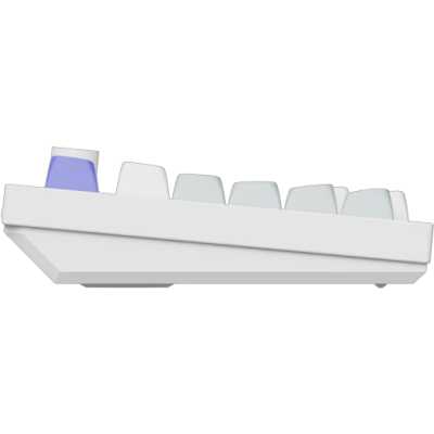 Keychron Q1 HE 8K Q1HW-P1P-RU
