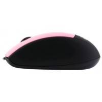 CBR S4 Pink