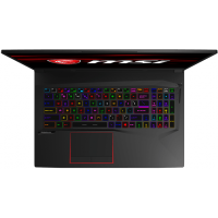 MSI GE75 9SG-613