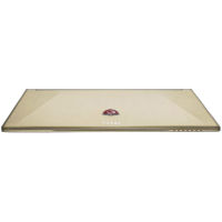 MSI GS60 2QE-033