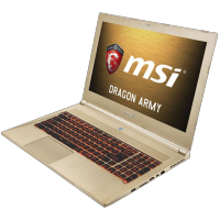 MSI GS60 2QE-295