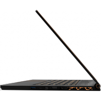 MSI GS65 9SG-641RU