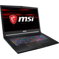 MSI GS73 8RE-019