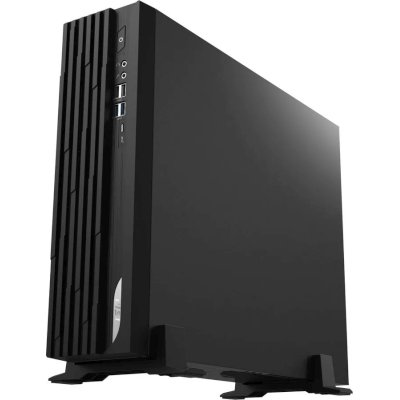 MSI Pro DP130 12-617XRU