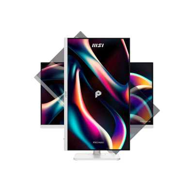 MSI Pro Max 241PHW E14