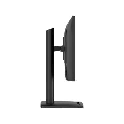 MSI Pro MP245PHG E14