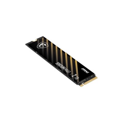 MSI SPATIUM M461 2Tb S78-440Q550-P83