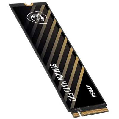 MSI SPATIUM M470 Pro 2Tb S78-440Q990-P83