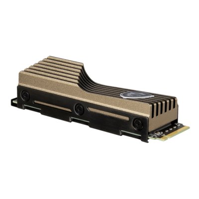 MSI SPATIUM M570 2Tb HS S78-440Q560-P83