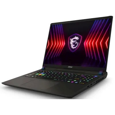 MSI Vector 16 HX A14VGG-283RU