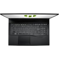 ноутбук MSI WE75 9TK-101