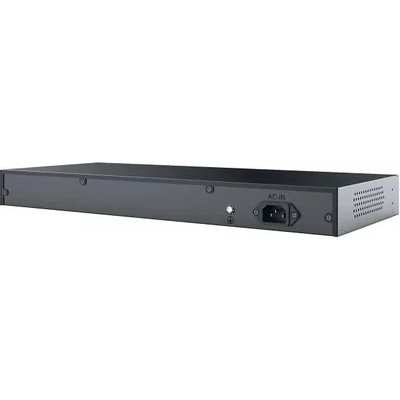 Netis P124GC