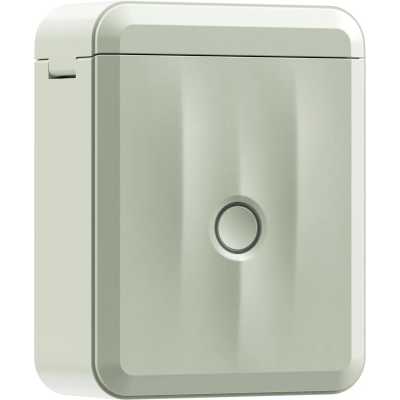 Niimbot D110 M Green