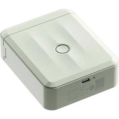 Niimbot D110 M Green