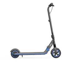 Ninebot eKickScooter Zing E10 AA.00.0002.32