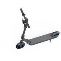 Ninebot eKickScooter Zing E10 AA.00.0002.32