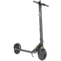 Ninebot KickScooter E25A Black