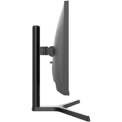 монитор NPC MZ300L