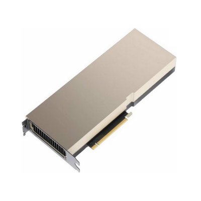 nVidia Tesla A100 80Gb 900-21001-0020-100