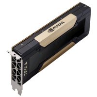 nVidia Tesla V100 900-2G500-0000-000
