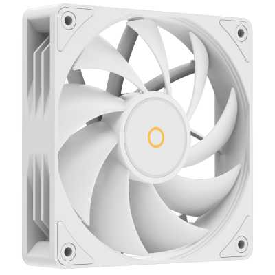 Ocypus Gamma F12 White