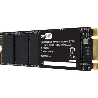 PC PET 256Gb PCPS256G1T